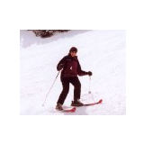 2002-099 Dotty Skiing  2002.jpg